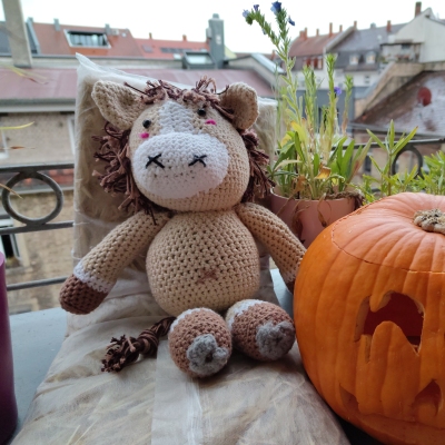 Amigurumi.com - Book creations - Zoomigurumi Favorites