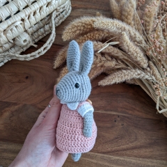 Cute bunny + customizable dresses amigurumi by La Fabrique des Songes