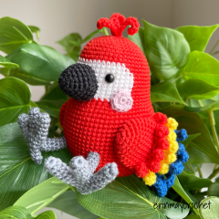 Percy the Parrot amigurumi pattern by erinmaycrochet