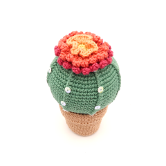 Cactus amigurumi by RoKiKi