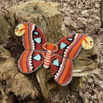 Atlas Moth amigurumi pattern by MieksCreaties