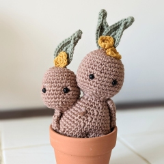 Blake and Drake the mandrakes amigurumi by Cosmos.crochet.qc