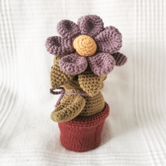 Plant Heads: Cora the Cosmos  amigurumi pattern by EMI Creations by Chloe