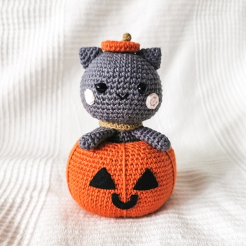 Casper the Cat in his Pumpkin amigurumi pattern by EMI Creations by Chloe