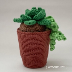 Flora, the Succulent amigurumi by Amour Fou