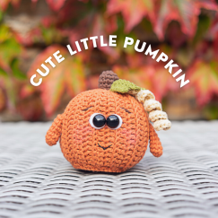 Cute Little Pumpkin