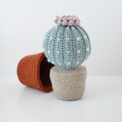 Succulent in Pottery amigurumi pattern by Elisas Crochet