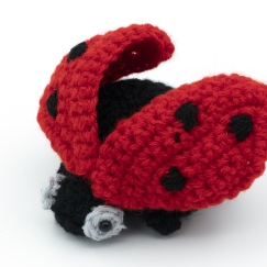 Ladybug