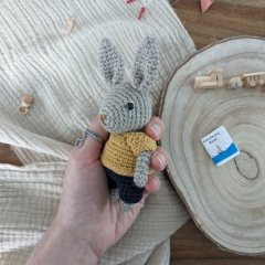 Baby bunny + wardrobe amigurumi pattern by La Fabrique des Songes