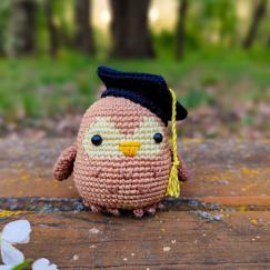 Graduation owl