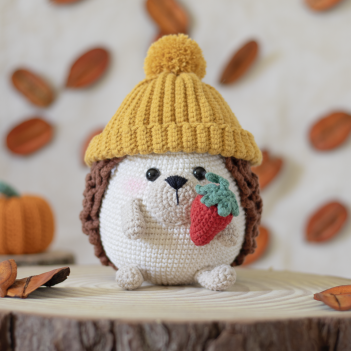 Edi the Hedgehog amigurumi pattern by GatoFio