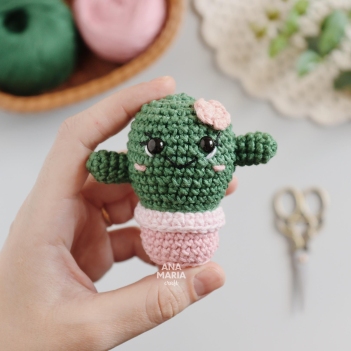 Mini Cactus amigurumi pattern by Ana Maria Craft