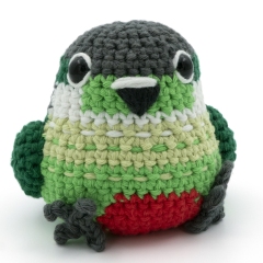 Green-Cheek Conure Parrot amigurumi pattern by MevvSan