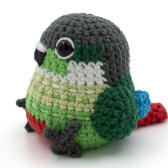 Green-Cheek Conure Parrot amigurumi by MevvSan
