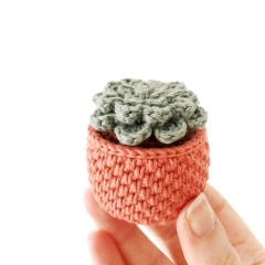 Crochet Succulent amigurumi by Stitch by Fay