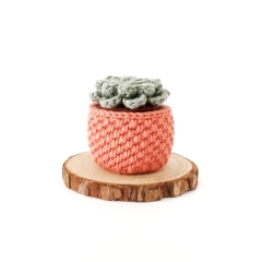 Crochet Succulent amigurumi pattern by Stitch by Fay