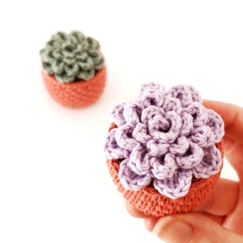 Crochet Succulent amigurumi pattern by Stitch by Fay