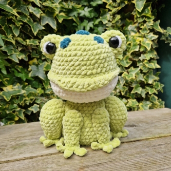 Filius the Frog amigurumi pattern by Sweet Fluffy Stitches