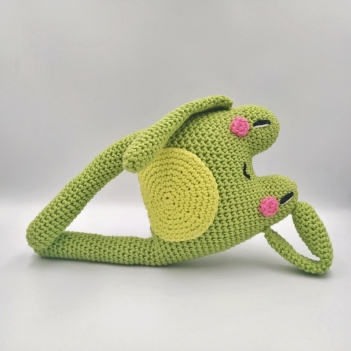 Akis the Frog amigurumi pattern by IwannaBeHara