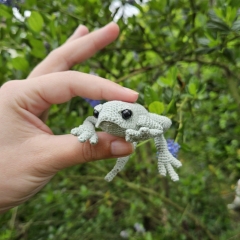 Little Frog amigurumi pattern by Critter Stitch