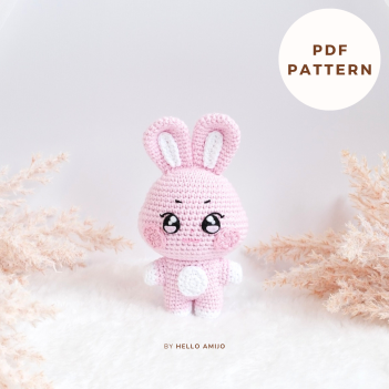 DDEONGbyeoli ANITEEZ CrochetPattern amigurumi pattern by Hello Amijo