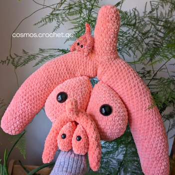 Cleo the clitoris - anatomical  amigurumi pattern by Cosmos.crochet.qc