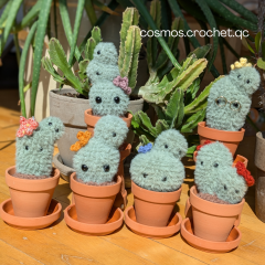 The Spiky Sprouts Cacti amigurumi by Cosmos.crochet.qc