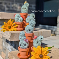 The Spiky Sprouts Cacti amigurumi pattern by Cosmos.crochet.qc