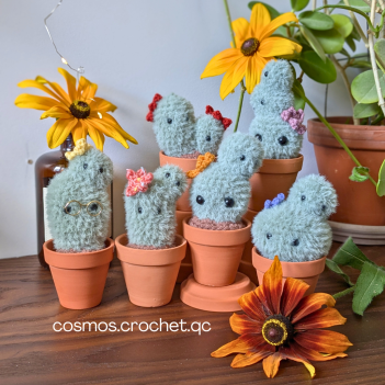 The Spiky Sprouts Cacti amigurumi pattern by Cosmos.crochet.qc