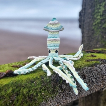 Cannoli the Squid amigurumi pattern by LittleEllies_Handmade