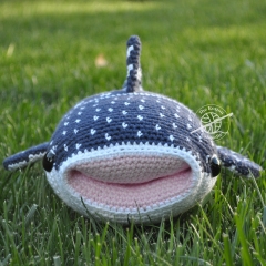 Whitney the Whale Shark amigurumi by The Kotton Kaboodle