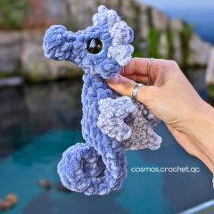 Lenny the seahorse amigurumi by Cosmos.crochet.qc