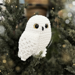 Snowy Owl