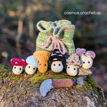 Mycologist set amigurumi pattern by Cosmos.crochet.qc