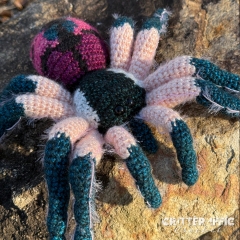 Jewel the T seladonia Tarantula amigurumi pattern by Critter-iffic Crochet