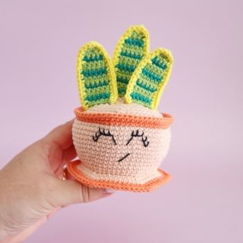 Snake Plant amigurumi pattern by Cara Engwerda