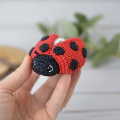 Little Ladybug