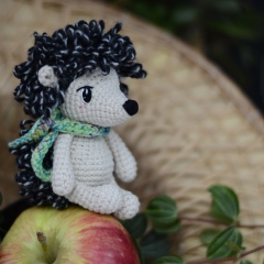 Louis the hedgehog amigurumi pattern by Plączenitka