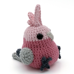 Galah Cockatoo