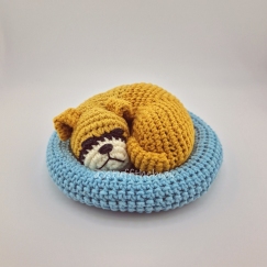 Curled Up Sleeping Boxer Dog