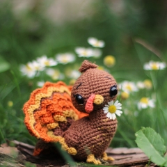 Turkey Duke amigurumi pattern by Loopy Pattern