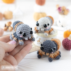 Baby Spider ('Mini Kingdom')