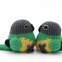 Senegal Parrot amigurumi pattern by MevvSan