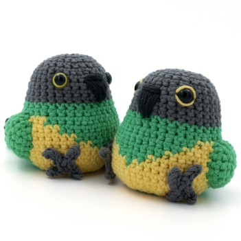 Senegal Parrot amigurumi pattern by MevvSan
