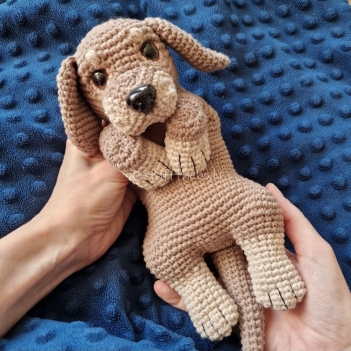 Brownie The Dachshund Puppy Dog amigurumi pattern by StuffTheBody