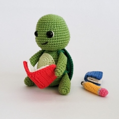 Beck the Turtle amigurumi pattern by engurumist