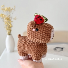 Plush Capybara amigurumi pattern by RNata