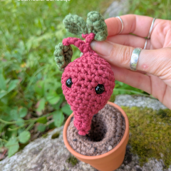 Sir Beetalicious the beet amigurumi pattern by Cosmos.crochet.qc