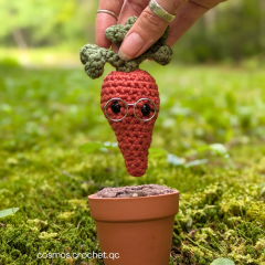 Sir ginger root the Carrot amigurumi pattern by Cosmos.crochet.qc