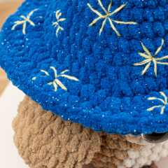 Magic Wizard Owl  amigurumi pattern by The Loop Story